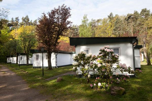 Meeressterne Ferienresort Damerow Koserow Exteriér fotografie