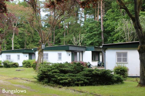 Meeressterne Ferienresort Damerow Koserow Exteriér fotografie